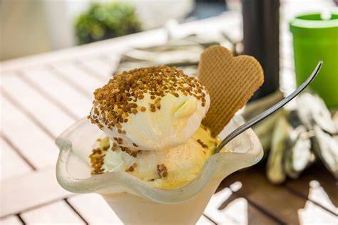 Hausgemachtes Eis aus der Princess Eismaschine - mit frischen Zutaten serviert