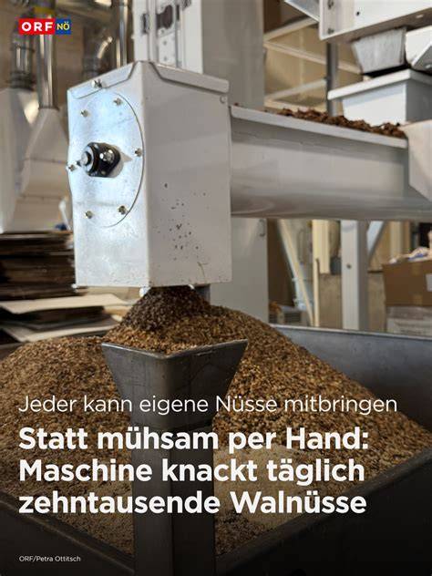 Hefeteigkneten per Hand und Maschine