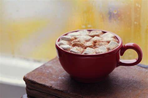 Heiße Tasse Kakao mit Rum und Sahne