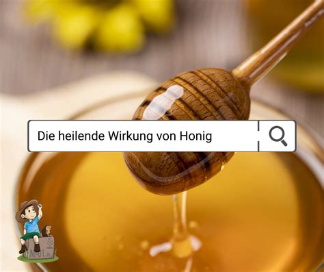 Heilende Wirkung von naturbelassenem Honig