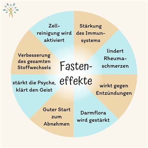 Heilfasten: Infografik Vorteile & Ablauf