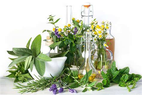 Heilkräuter, Lindenblüten, Flavonoide und ätherische Öle