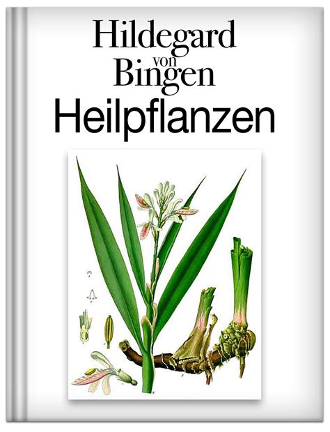 Heilpflanzen, die von Hildegard von Bingen verwendet wurden