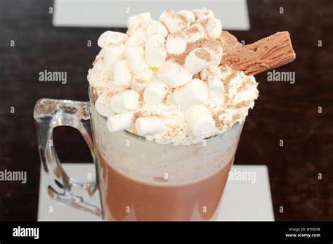 Heisse Schokolade in Tasse mit Sahne und Kakaopulver