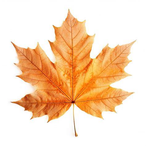 Herbstblatt Dekoration auf Torte