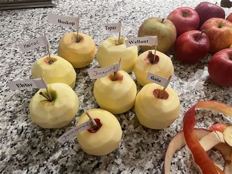 Herbstliche Äpfel verschiedener Sorten zum Backen