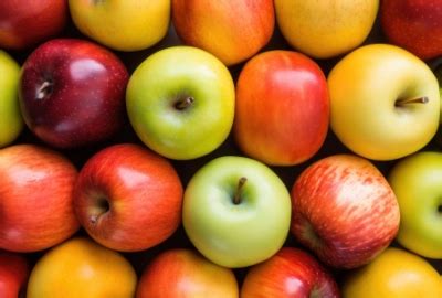 Herbstliche Apfelernte, verschiedene Apfelsorten