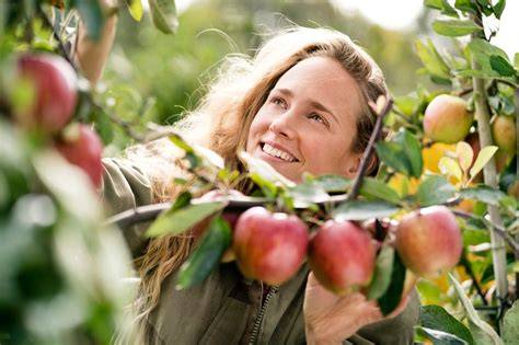 Herbstliche Apfelernte als Inspiration für den Kuchen