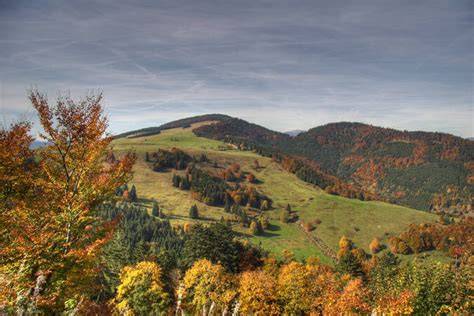 Herbstliche Hügellandschaft mit Motovun im Hintergrund und Trüffelsucher im Vordergrund
