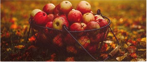 Herbstliche Szene: Äpfel im Korb, Honigglas, Backutensilien