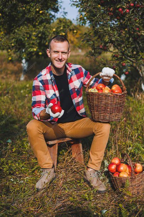 Herbstliche Szene: Familie erntet Äpfel im Garten, Körbe voll Äpfel, Kind und Großeltern zusammen