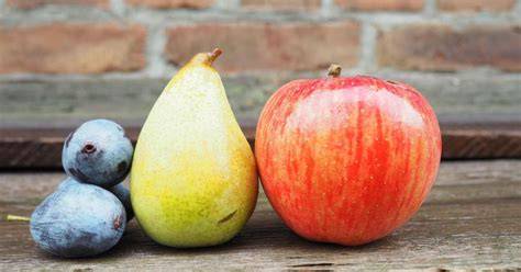 Herbstliche Torten und Zutaten: Kürbis, Apfel, Birne und Pflaume auf rustikalem Brett