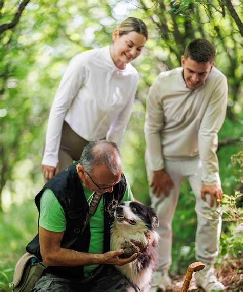 Herbstliche Trüffelsuche in Istrien mit erfahrenem Trüffeljäger und Hund