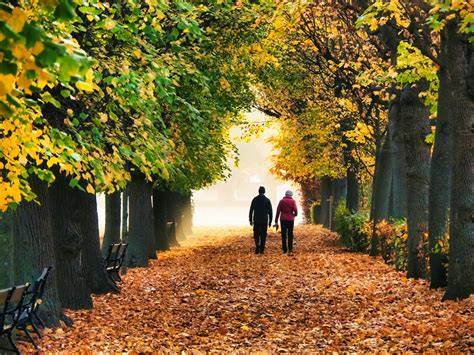 Herbstspaziergang mit Apfel-Schoko-Cookies
