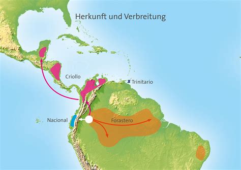 Herkunft des Kakaobaums