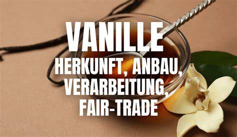 Herkunft und Verarbeitung von Vanilleschoten (Weltkarte & Herstellungsprozess)