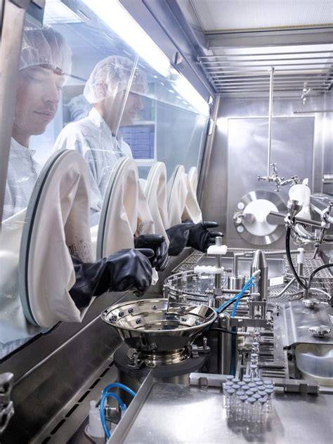 Herstellung und Abfüllung von selbstgemachter Beerensauce