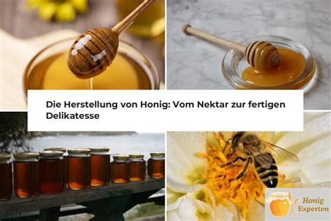Herstellung von Kokosblütenzucker: Vom Nektar zur Zucker-Kristall
