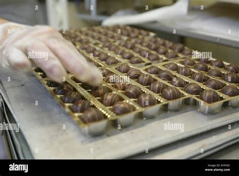 Herstellung von Pralinen in Handarbeit