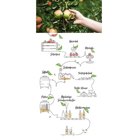 Herstellungsprozess: Ernte und Laborprüfung