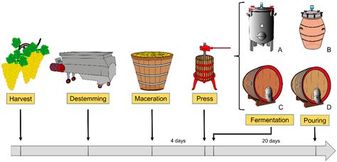 Herstellungsprozess: Fermentation, Röstung, Vermahlung