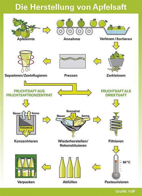 Herstellungsprozess verschiedener Apfelsaft-Typen (Direktsaft, Konzentrat, Filtration)