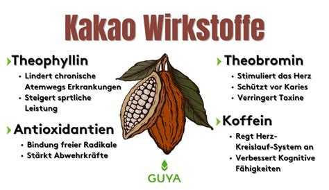Herz-Kreislauf-Infografik: Flavanole in Kakao und Wirkung