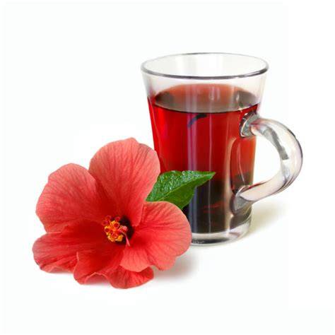 Hibiskus-Tee in Karaffe