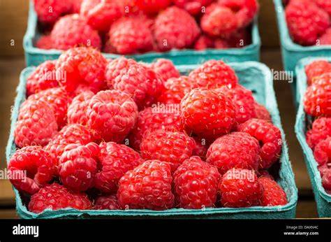 Himbeeren frisch geerntet im Mörtelkasten