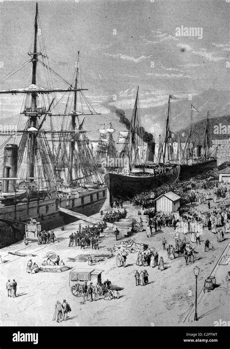 Historische Abbildung von Gianduia und Kakaoembargo