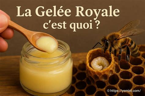 Historische Darstellung: Honigbienen, Königin und Gelée Royale