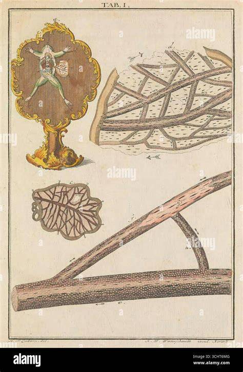 Historische Illustration eines Gugelhupfs und Legendenkarte Elsass