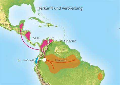 Historische Karte der Ausbreitung des Kakaos von Mittelamerika nach Europa