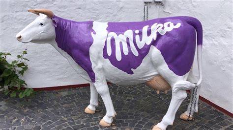 Historische Milka-Verpackungen und die lila Kuh
