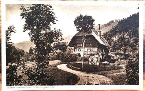 Historische Postkarte Schwarzwald, Torte im Fokus