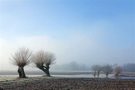 Historische Rezeptkarte und winterliche Landschaft: „Gabelmürbchen“ am Niederrhein