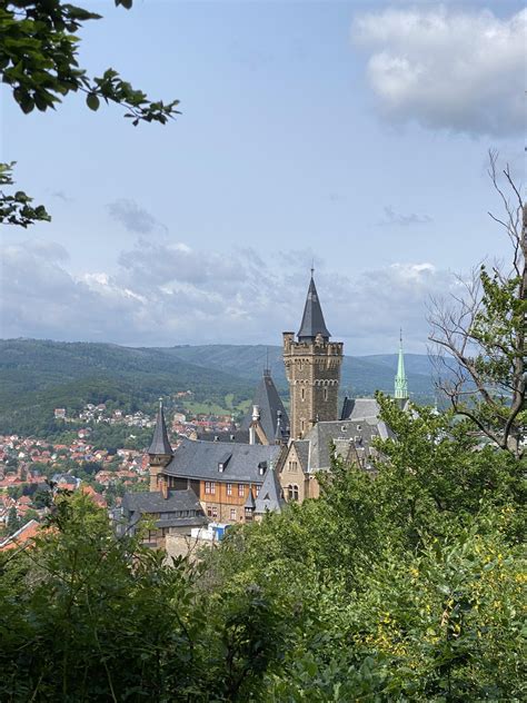 Historische Trüffelmärkte und europäische Trüffel-Parcours