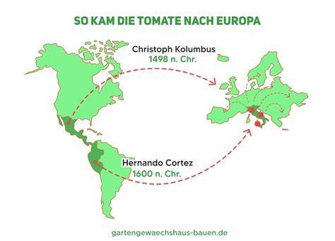 Historische Wege der Tomate nach Europa