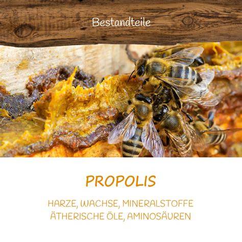 Historische und naturheilkundliche Verwendung von Propolis