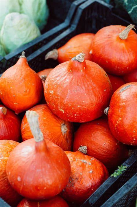 Hokkaido Kürbis und frisch geraspelter Kürbis