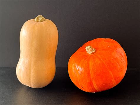Hokkaido- und Butternut-Kürbis auf der Küchenarbeitsplatte