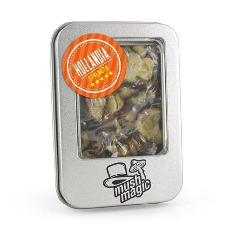 Hollandia Magic Trüffel - Nahaufnahme