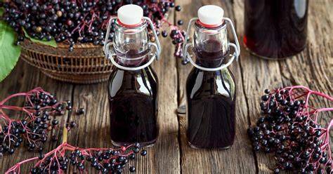 Holunderbeeren Ernte und Verarbeitung