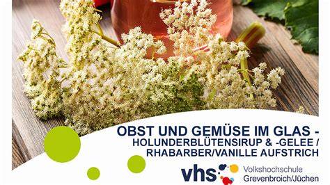 Holunderblüten, Sirup, Gelee im Glas - Schritt-für-Schritt-Infografik