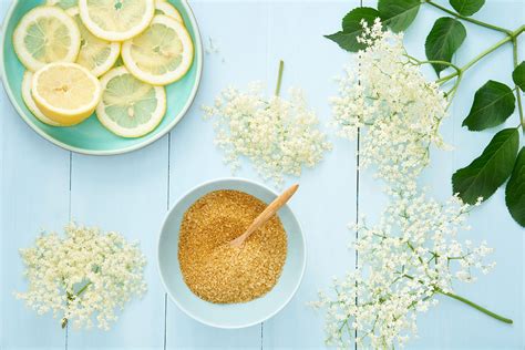 Holunderblüten, Zitronenscheiben und Gelatine-Zutaten für Tortenguss auf Arbeitsplatte