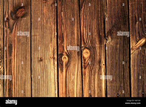 Holzstruktur und Maserung des Schwarzen Zucker-Ahorns