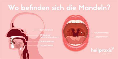 Honig, Mandeln und wunder Hals - Symbolbild