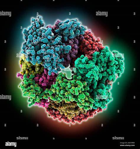 Honig, Schlafhormone, Blutzuckerregulierung - Biochemische Prozesse