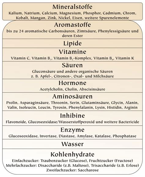 Honig: Zusammensetzung und gesundheitsfördernde Inhaltsstoffe