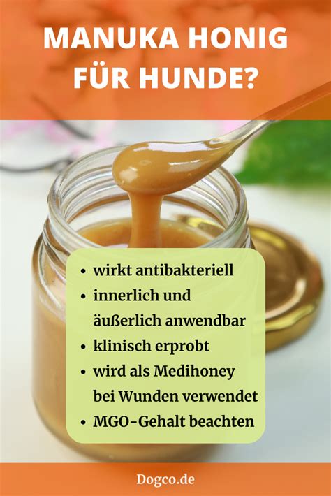 Honig als Naturheilmittel für Hunde